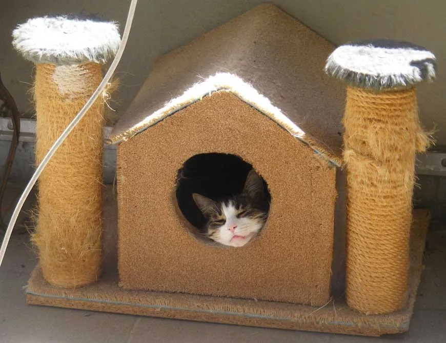 Сделать дом-когтеточку для кошки